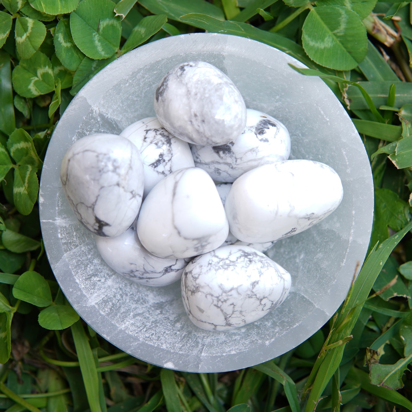 White Howlite Tumble Crystal